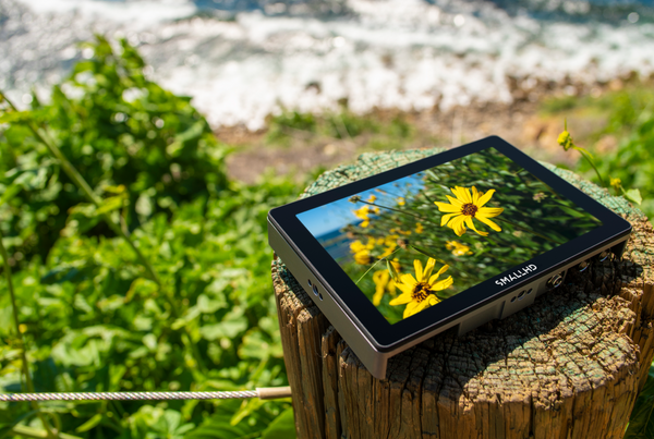 5 Essential Tools to Calibrate Your Monitor