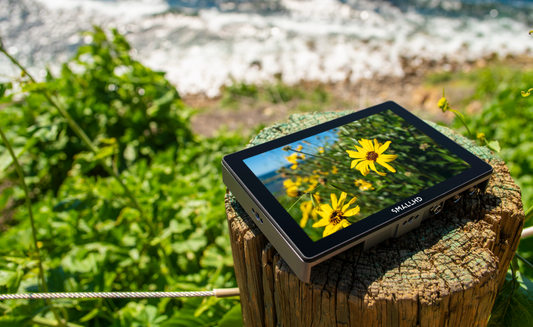 5 Essential Tools to Calibrate Your Monitor