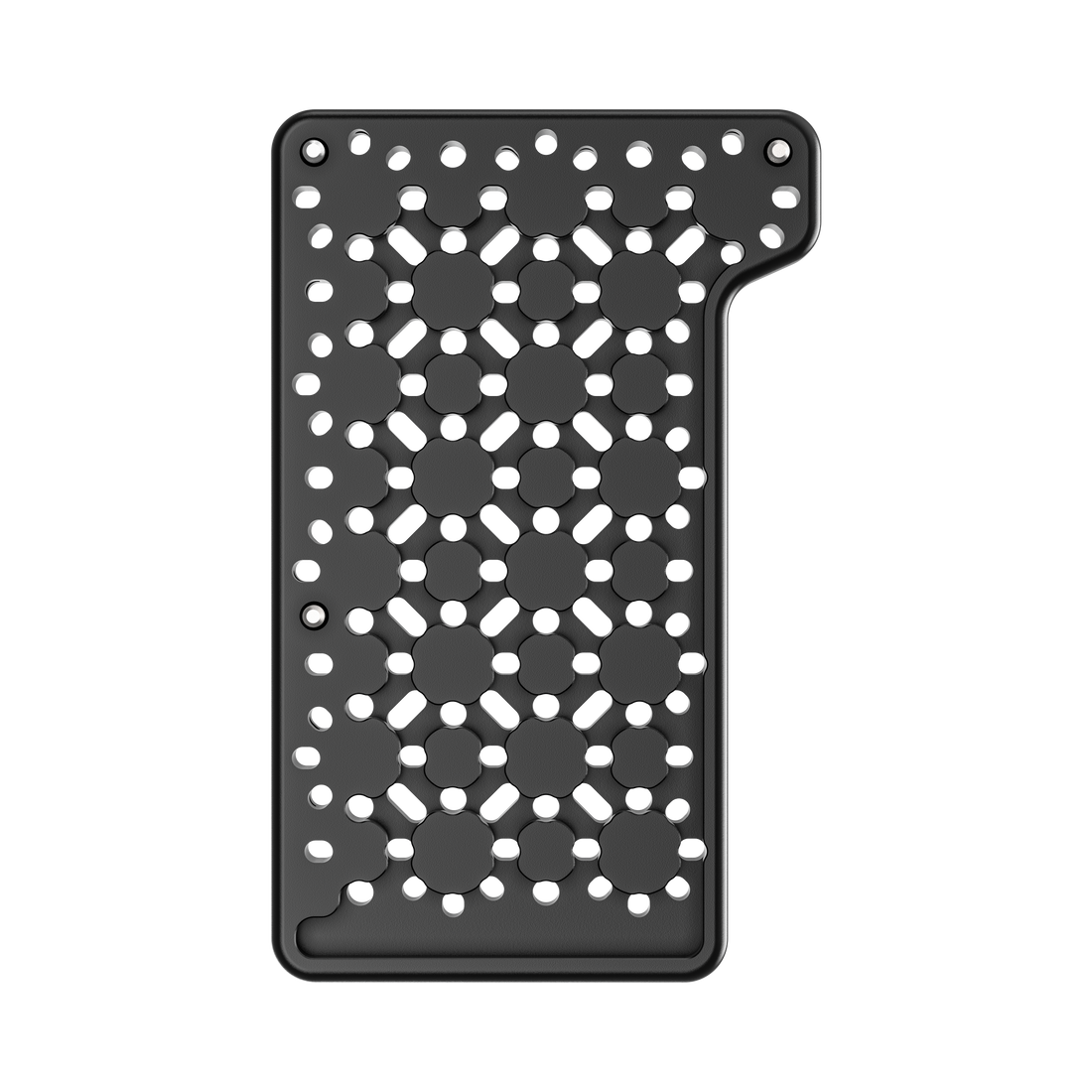Rear Accessory Plate for Ultra 10 Back View