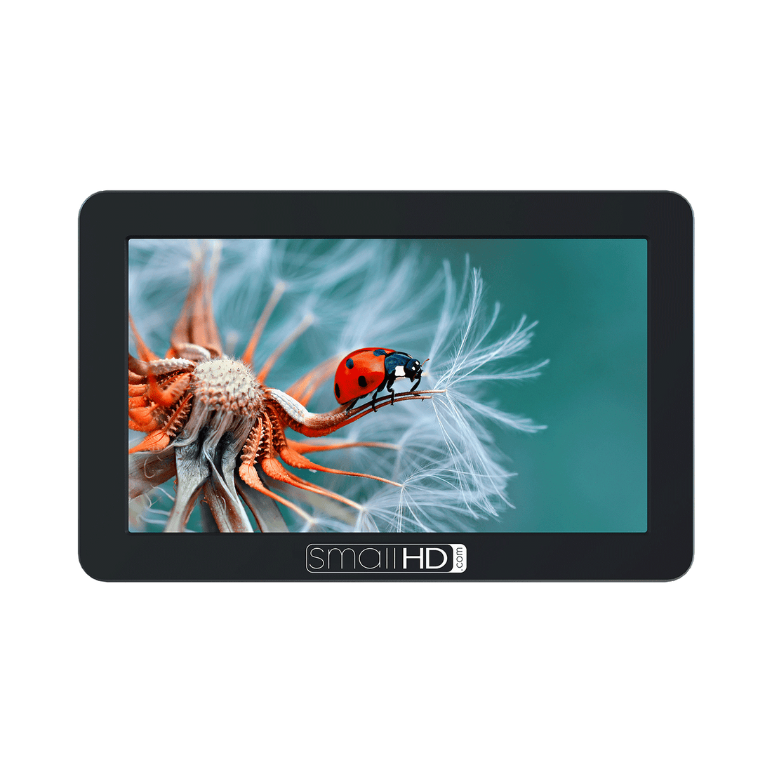 FOCUS Camera-Top Monitor KIT – SmallHD FOCUS Camera-Top Monitor KIT – SmallHD