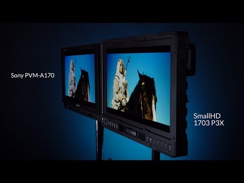 1703 P3X SmallHD 17