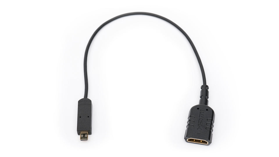 Integration dannelse duft Micro HDMI to Full HDMI Adapter — SmallHD