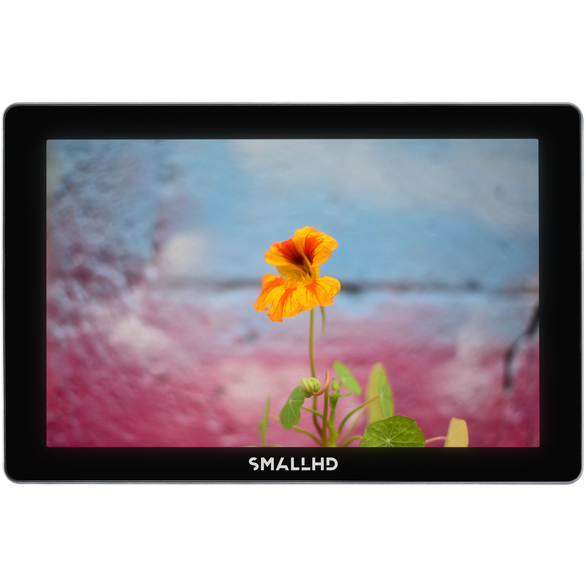 高速配送 SmallHD_Indie-7_White-Store- その他